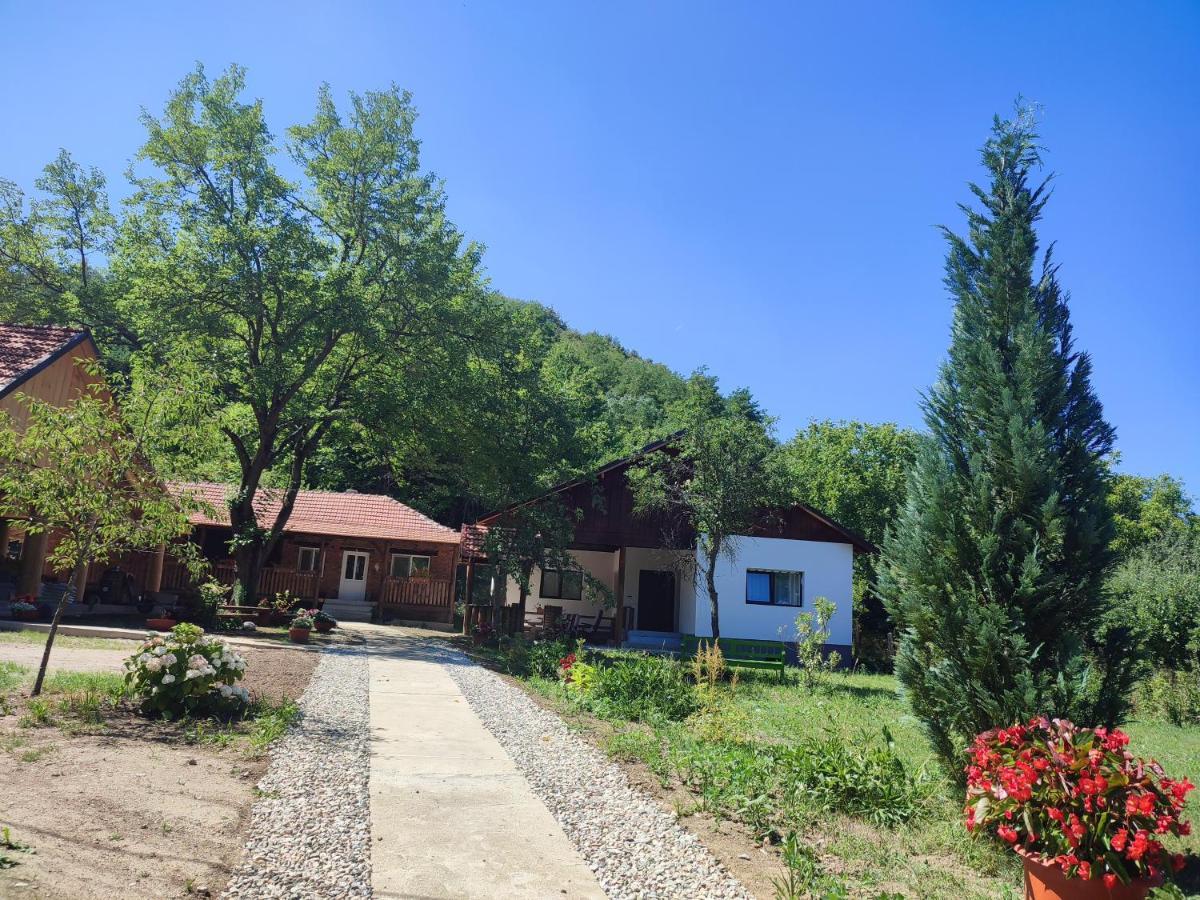 Dumbrava Minunata Pesteana Exterior foto